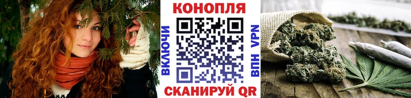 Канабис OG Kush  Цивильск 
